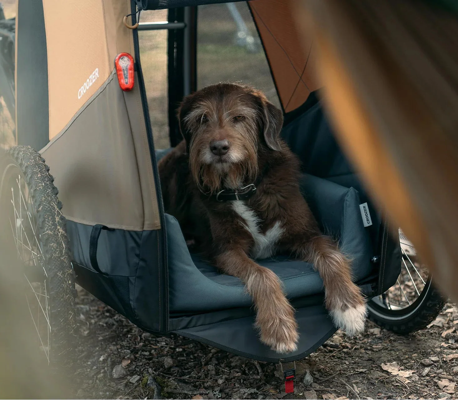 CROOZER Fahrradanhänger Dog Mikke - Image 4