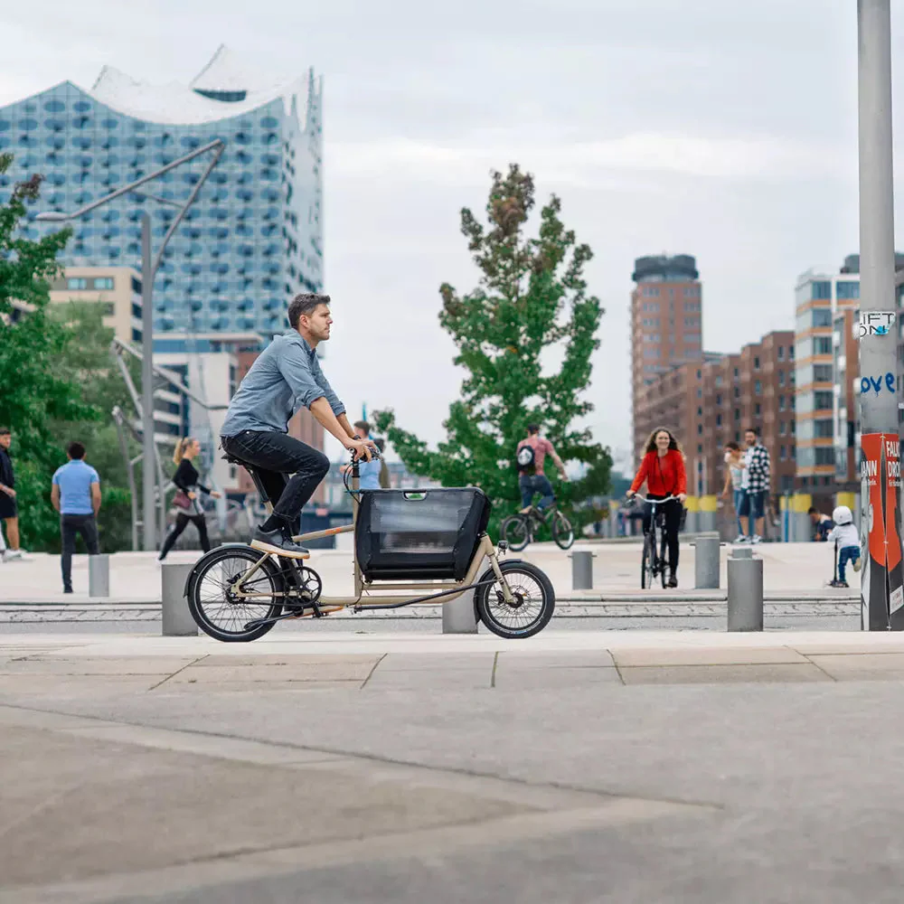 MULI Motor st Lastenrad - Image 4