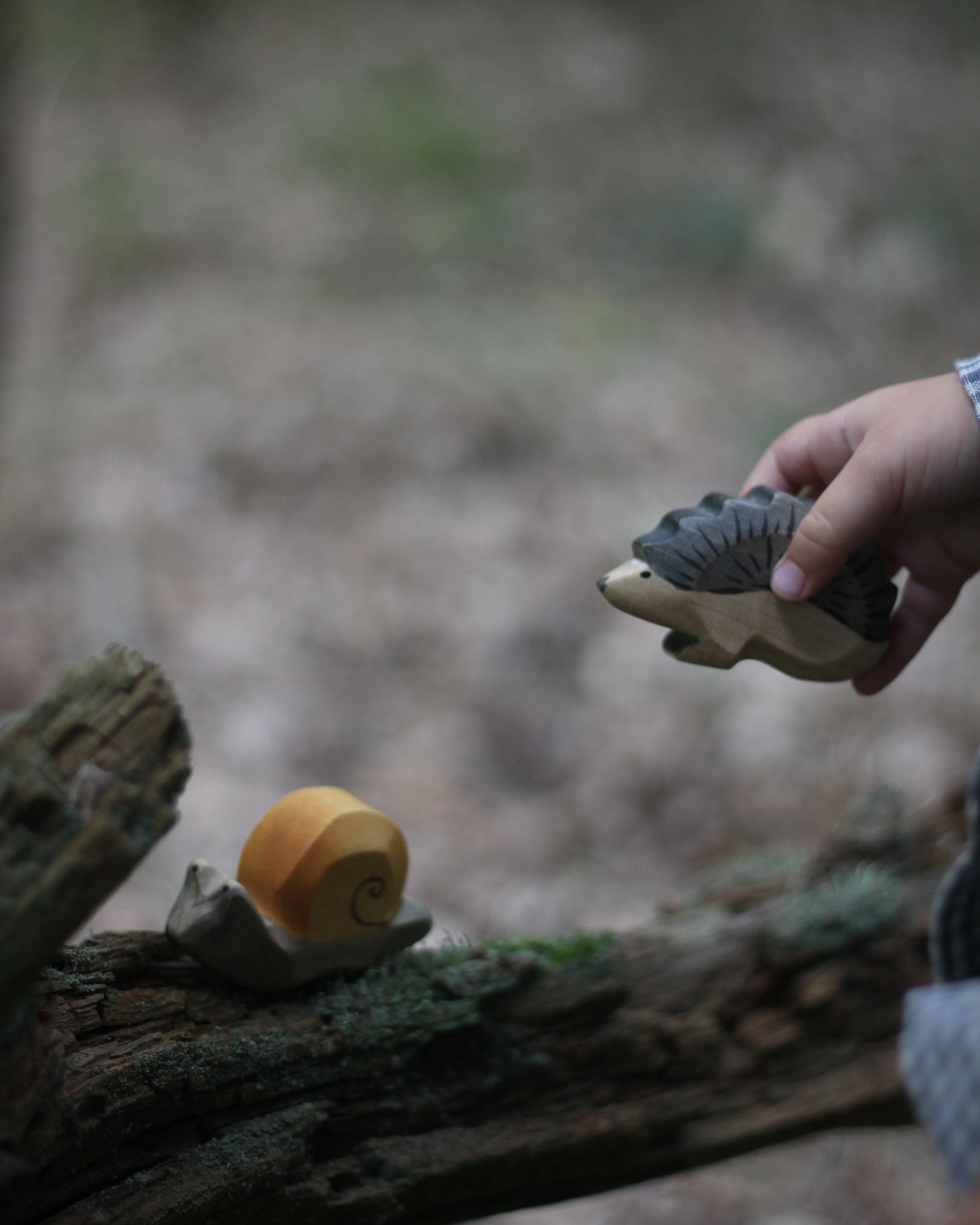 HOLZWALD Waldorfinspiriertes Spielset Wald und Wiese mit Holztieren und Spieltuch - Image 7